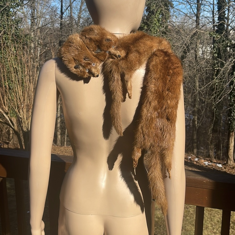 Vintage Mink Neck Stole Wrap Collar - Picture 2 of 3